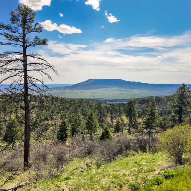 White mountains arizona