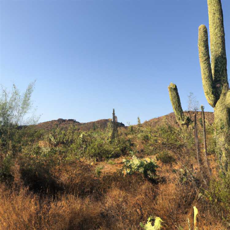 Enjoy Outdoor Recreation at Lake Pleasant