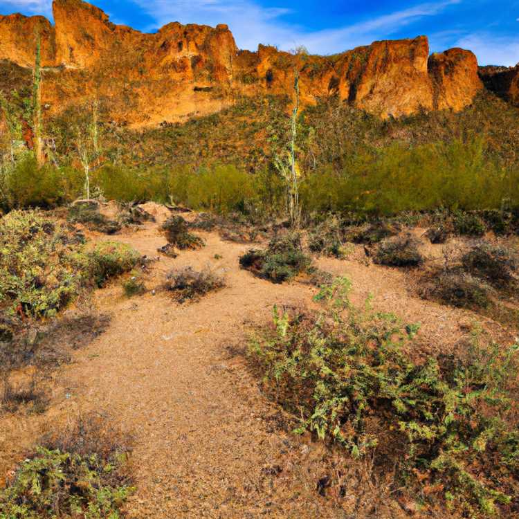 Discover Gold Canyon AZ: An Oasis in the Arizona Desert