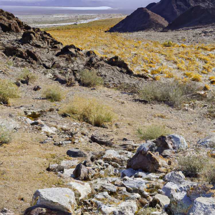 Experience the Thrill of Skydiving at Dolan Springs