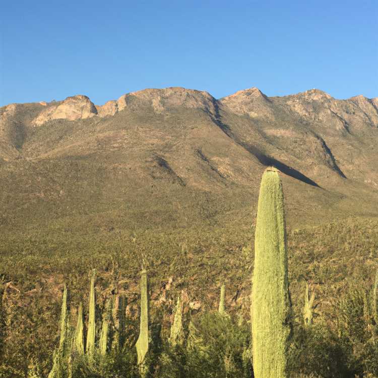 Oro valley az