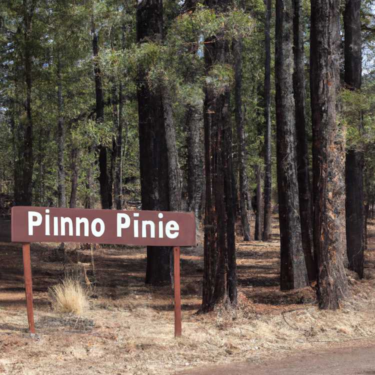 Location and Climate of Pinetop AZ