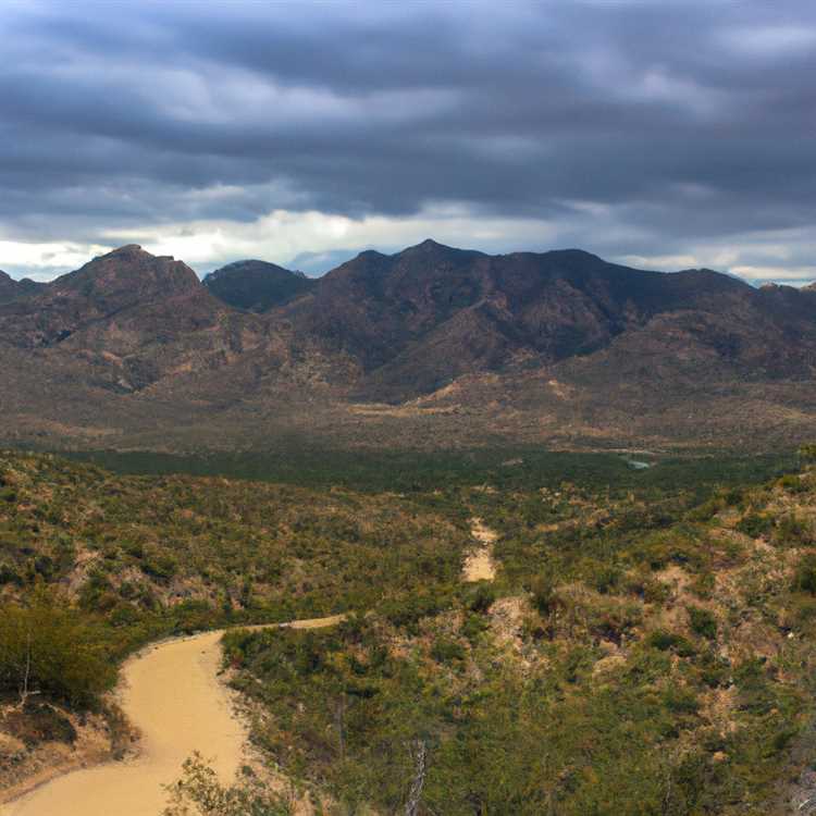 Learn About the Ancient Hohokam Civilization