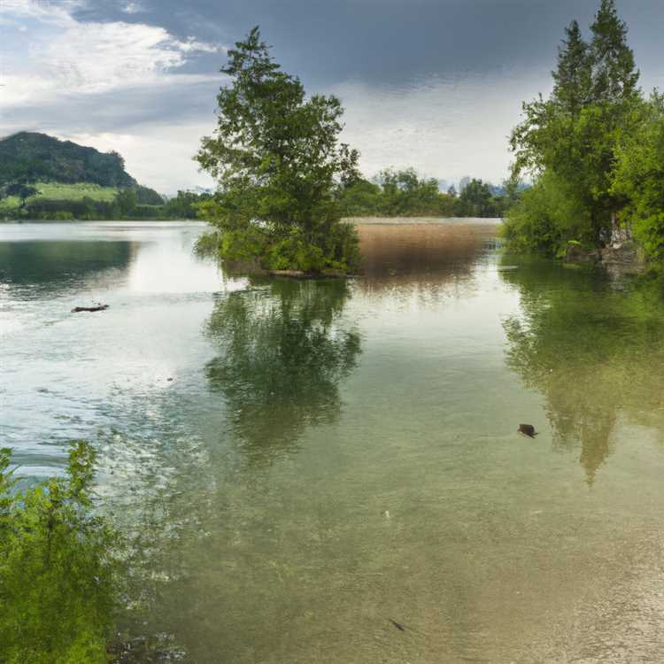 Wildlife Encounters: Discover the Rich Biodiversity of Lakeside, AZ