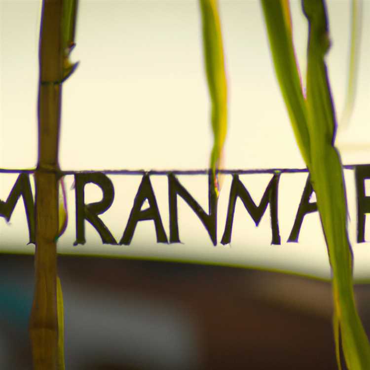 Unveiling Marana’s Rich History