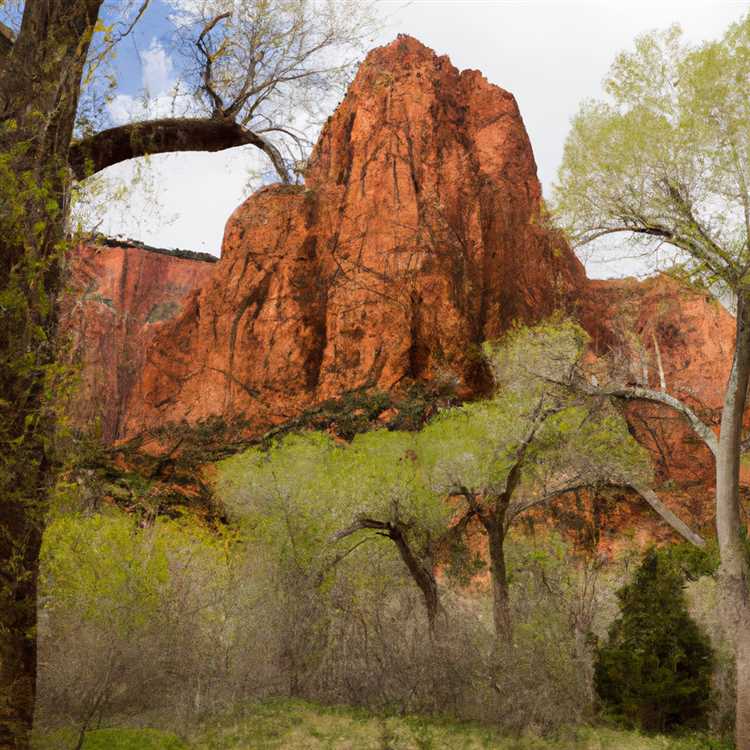 Explore Munds Park A Hidden Gem in Arizona