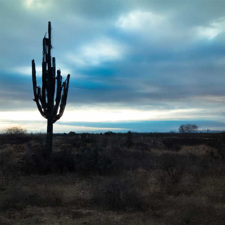 Chino valley az