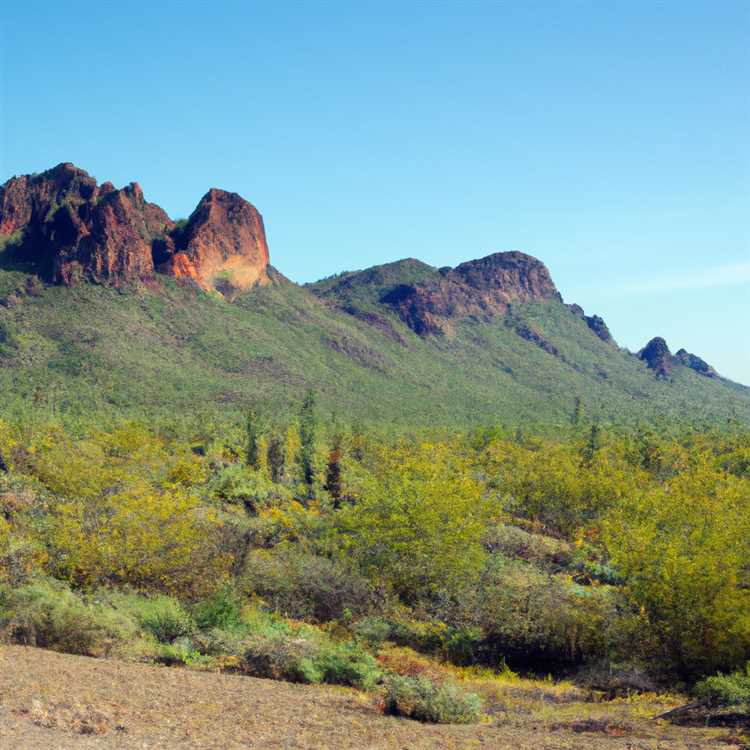 Apache junction