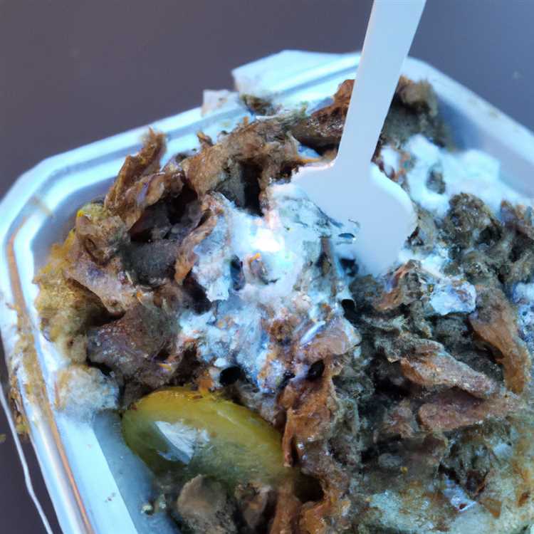 Mouthwatering Gyros at Gyro House