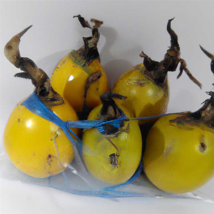 Taste the Sweetness of Pineapple and Coconut in Desserts