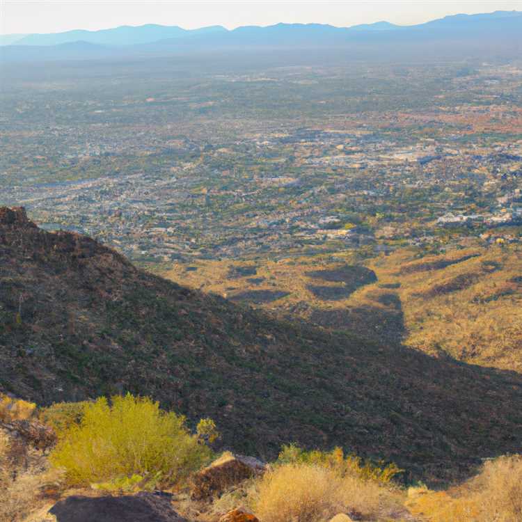 Experience the Natural Beauty of Phoenix