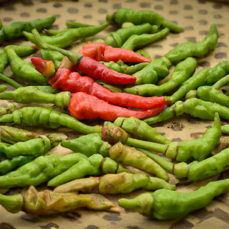 Discover Unique and Creative Menu Items