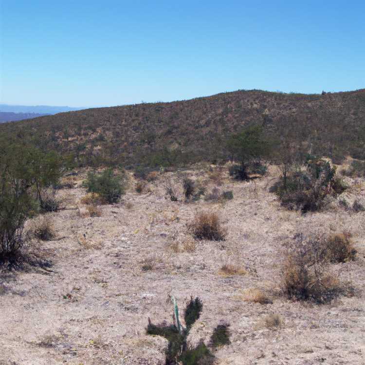 Chino Valley AZ - A Peaceful Retreat in Arizona Mountains