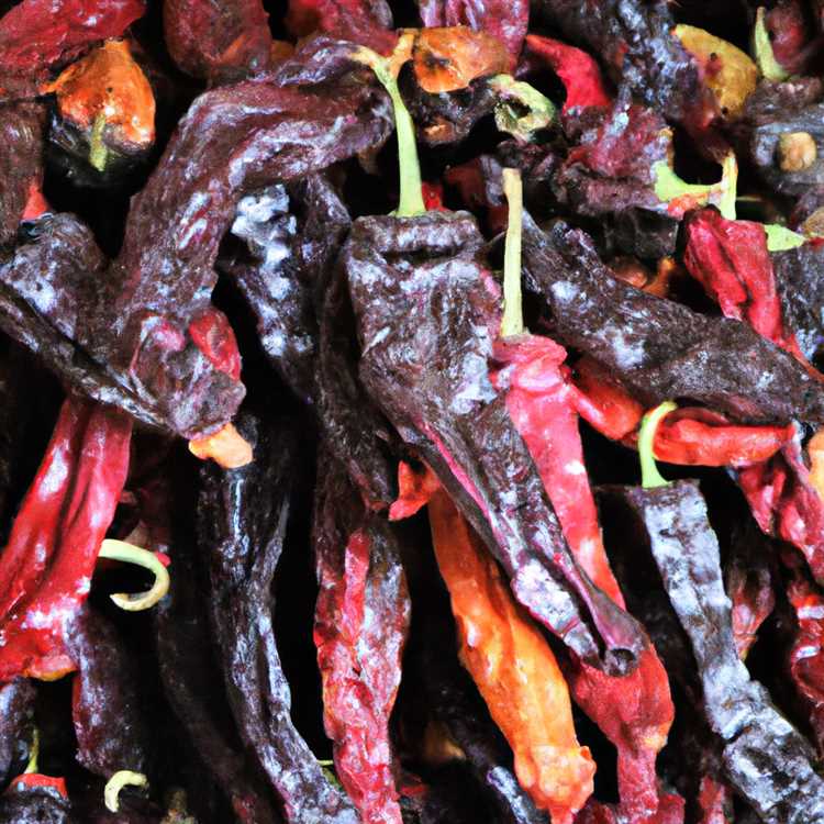 Discover the Best Chilis in Paradise Valley - A Culinary Paradise