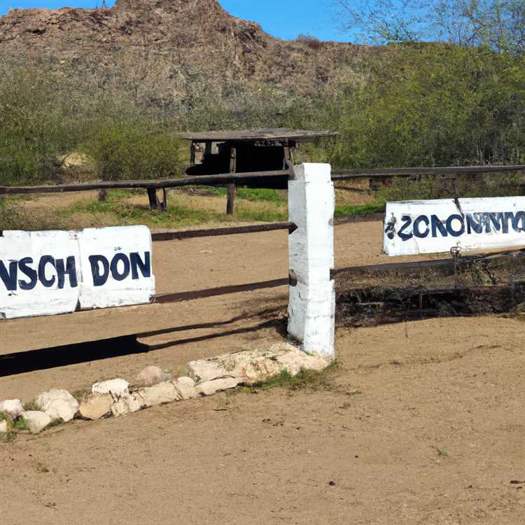 Discover Dobson Ranch - A Wonderful Place to Call Home