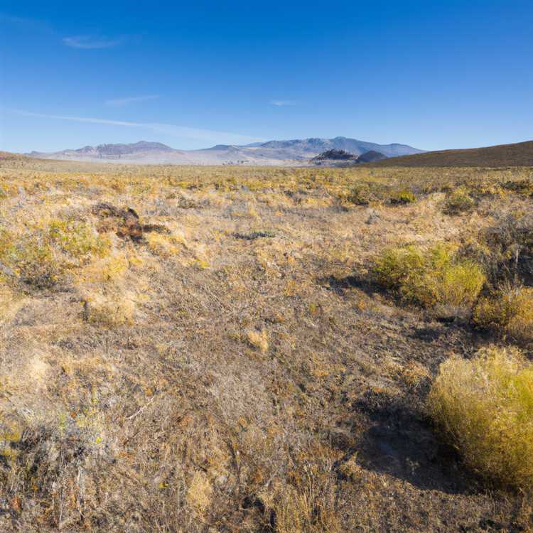 Dolan Springs: A Charming Desert Town in Arizona