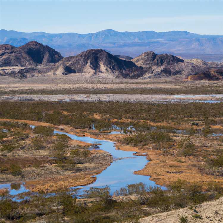 Outdoor Activities in Dolan Springs