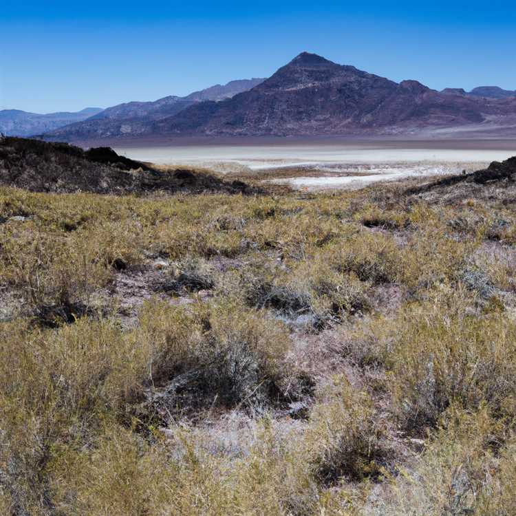 Dolan Springs: A Charming Desert Town in Arizona