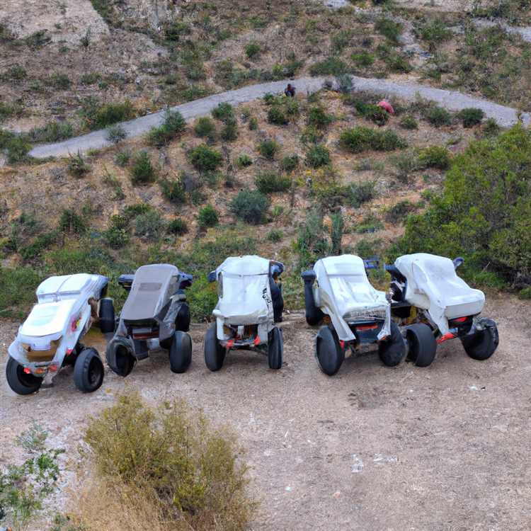 Visit the Saguaro National Park