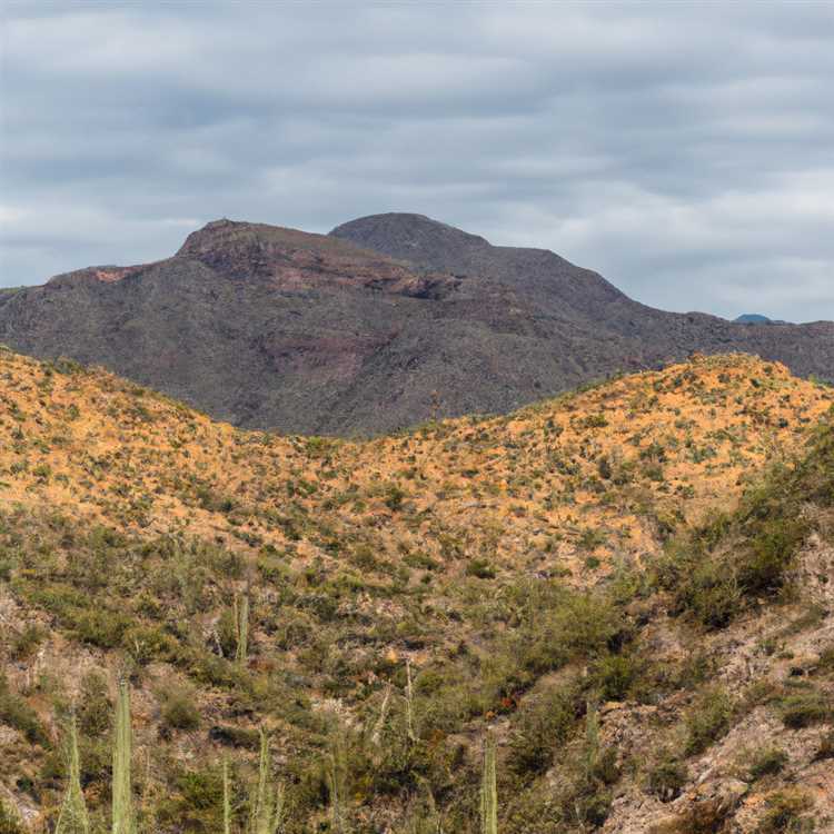 Explore the Stunning Hiking Trails