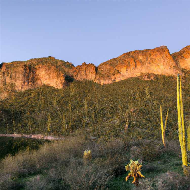 1. Desert Bighorn Sheep