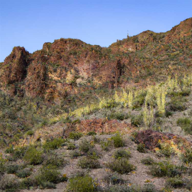 Explore the Stunning Scenery of Gold Canyon AZ