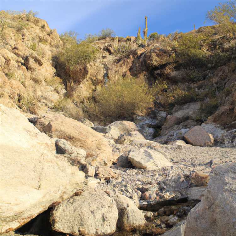 Experience the Thrill of Hiking in the Desert Landscape