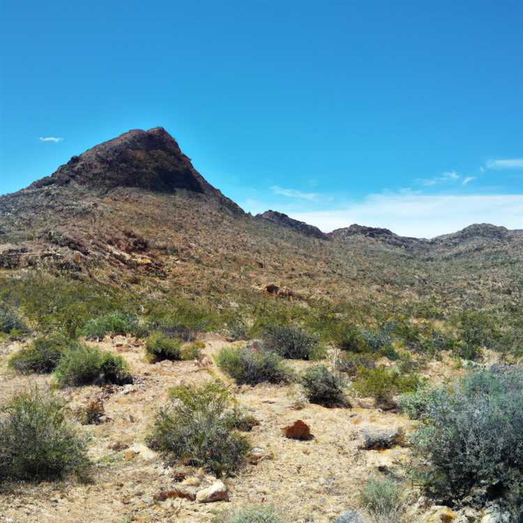 Discovering Lake Mead