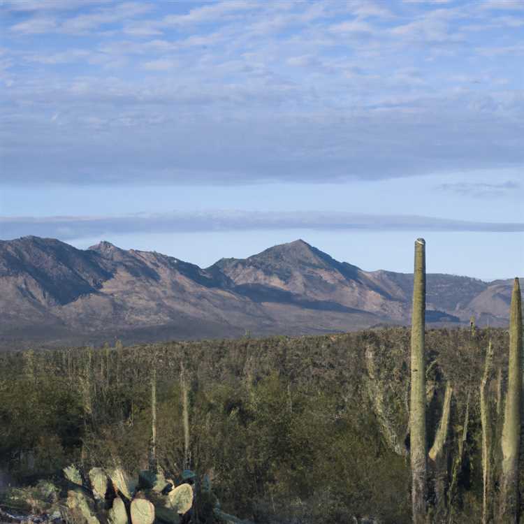 Oro Valley: A Hidden Gem in Arizona