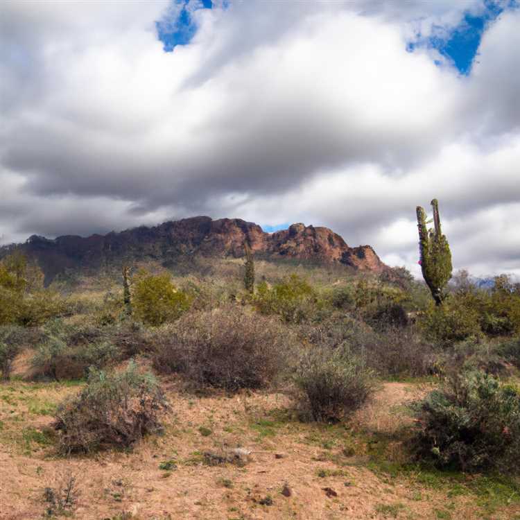 Hiking and Mountain Biking