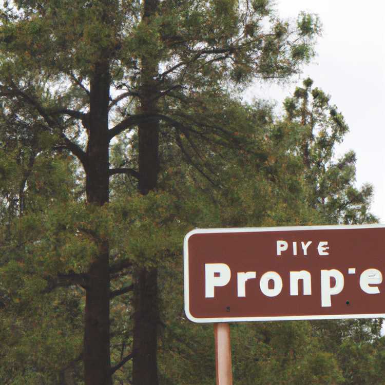 Enjoy Outdoor Adventures in Pinetop AZ