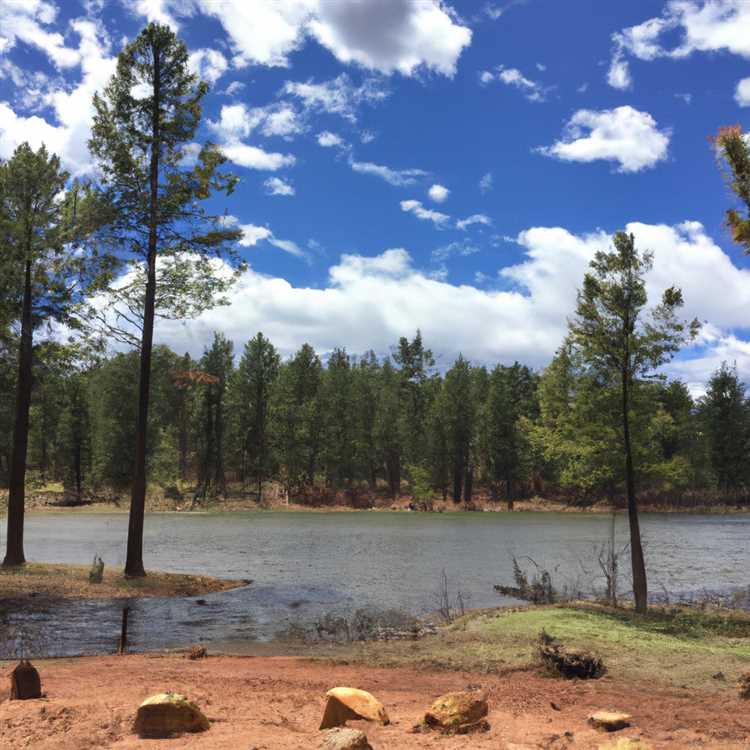 Pinetop lakeside