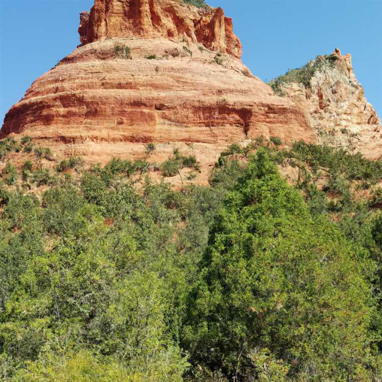 Experience the Thrill of Outdoor Activities in Red Rock Arizona