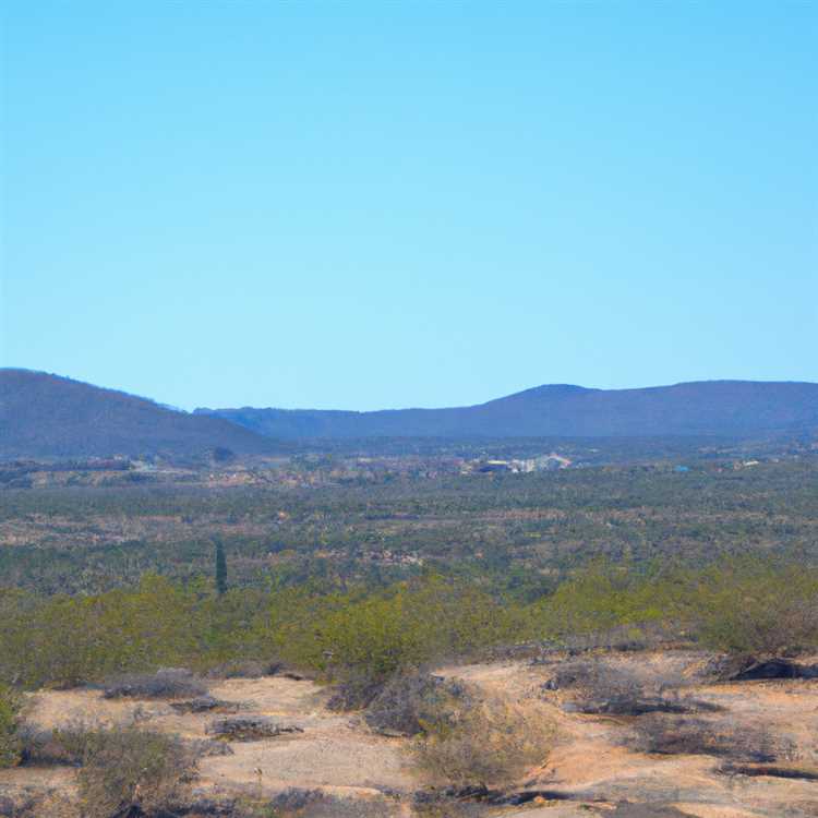 Queen Creek Olive Mill