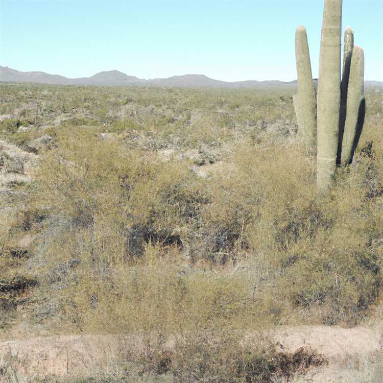 San tan valley az