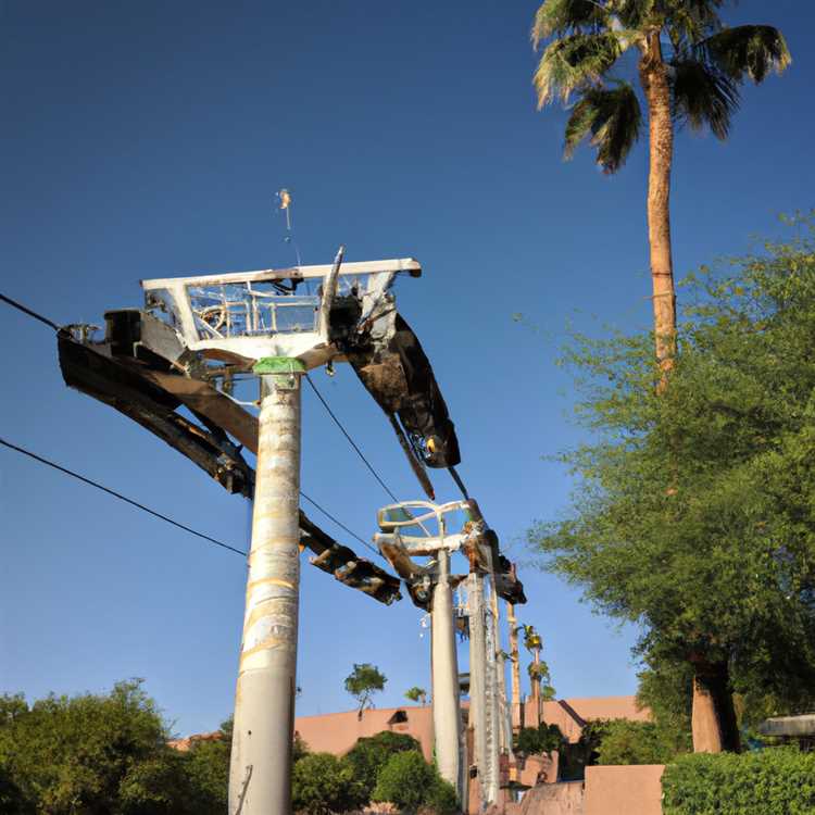 Immerse Yourself in Desert Botanical Garden's Beauty