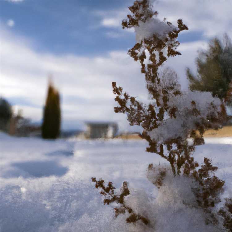 Snowflake arizona