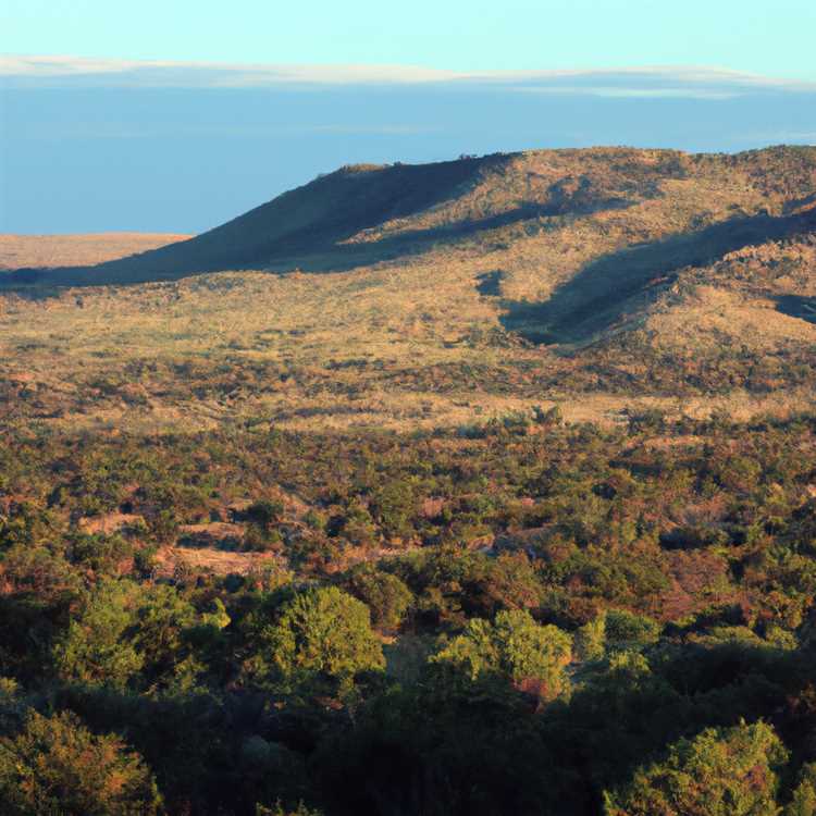 Sonoita