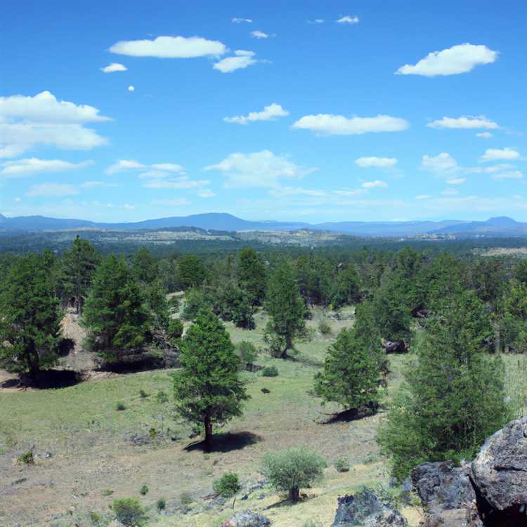 Experiencing the Unique Cuisine of Springerville AZ