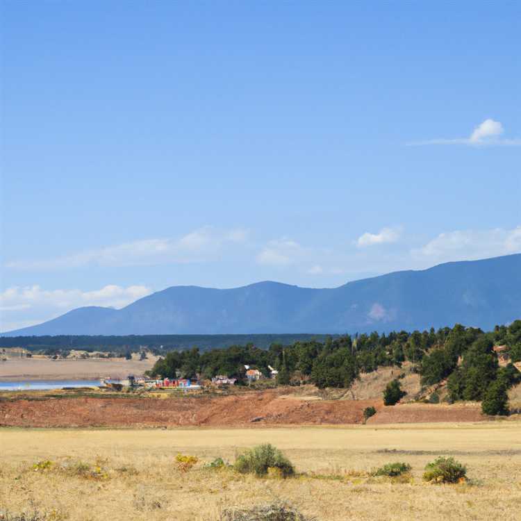 Embracing Nature in Springerville AZ