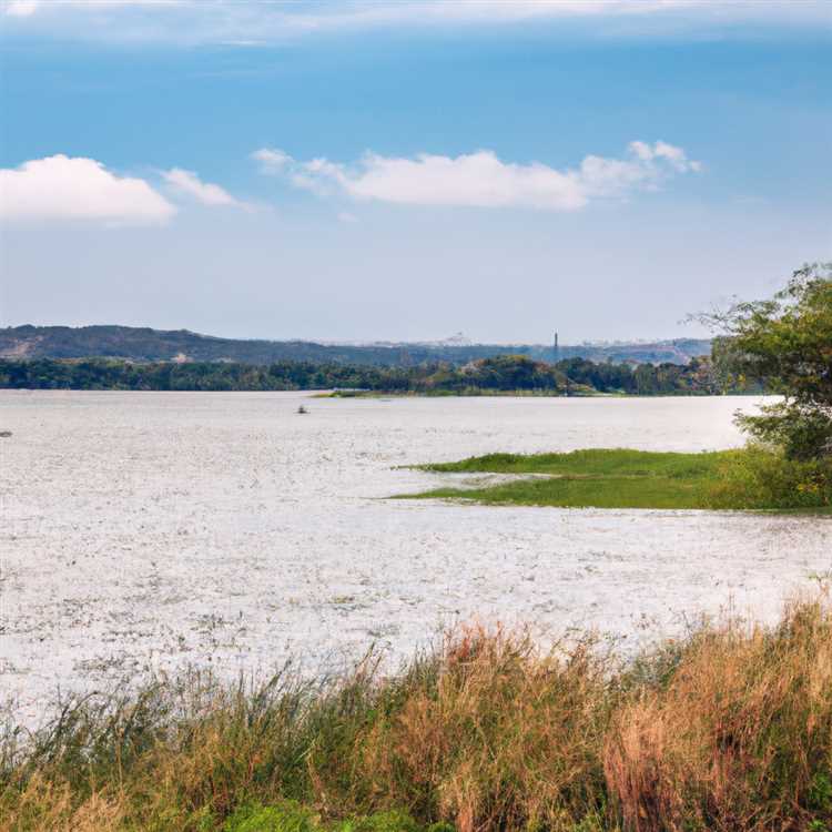 Immerse Yourself in the Peaceful Oasis of Tempe Lake