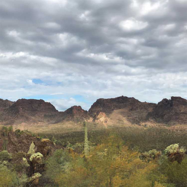 Explore the Grand Canyon National Park