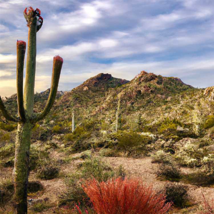 Top Things to Do in Scottsdale AZ - Explore the Best Attractions