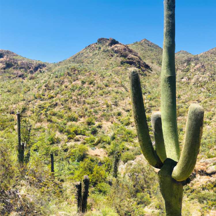 Things to do in scottsdale