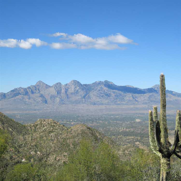 Catalina State Park