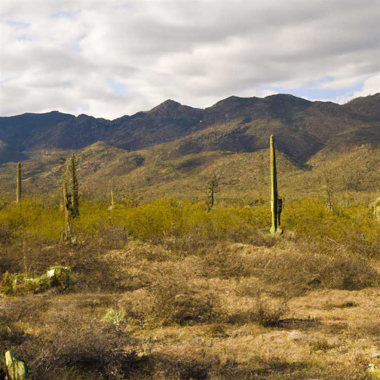 Tucson arizona