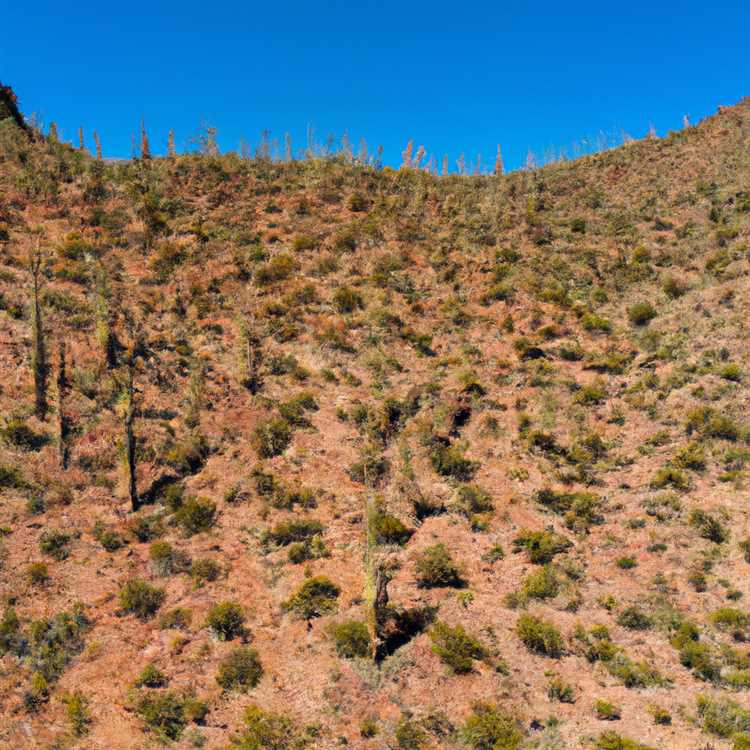 Hike Camelback Mountain for Breathtaking Views