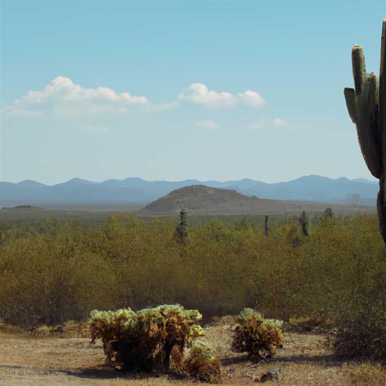 Wickenburg AZ - Discover the Hidden Gems of This Historic Arizona Town