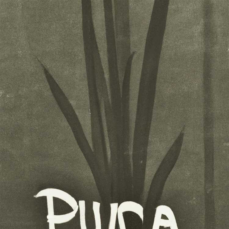 Yucca az: A Versatile Plant in Landscaping