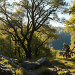 Exploring Hidden Gems: Sports Adventures Beyond the Gym